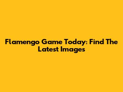 Flamengo Game Today: Find The Latest Images