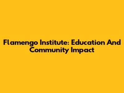Flamengo Institute: Education And Community Impact