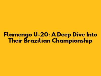 Flamengo U-20: A Deep Dive Into Their Brazilian Championship