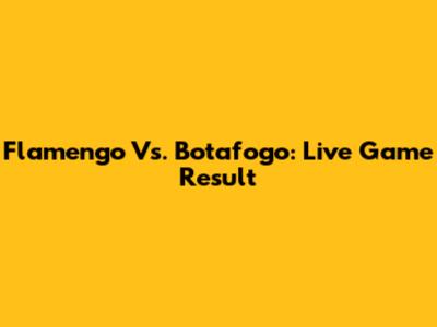Flamengo Vs. Botafogo: Live Game Result