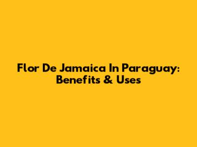 Flor De Jamaica In Paraguay: Benefits & Uses