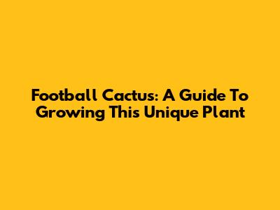 Football Cactus: A Guide To Growing This Unique Plant