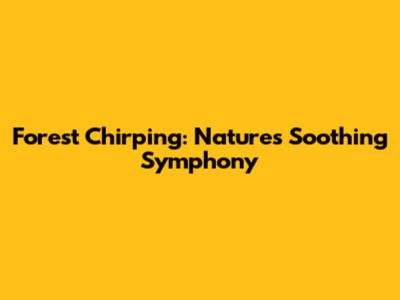 Forest Chirping: Nature's Soothing Symphony