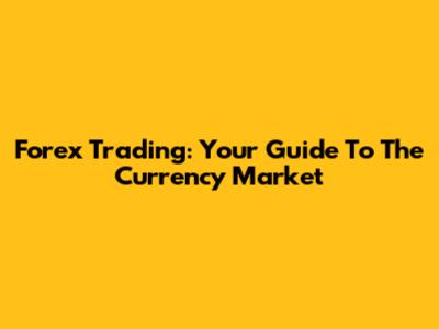 Forex Trading: Your Guide To The Currency Market