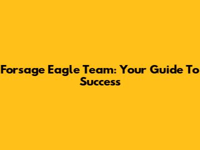 Forsage Eagle Team: Your Guide To Success