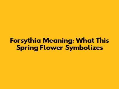 Forsythia Meaning: What This Spring Flower Symbolizes