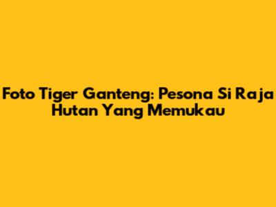 Foto Tiger Ganteng: Pesona Si Raja Hutan Yang Memukau