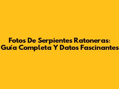 Fotos De Serpientes Ratoneras: Guía Completa Y Datos Fascinantes