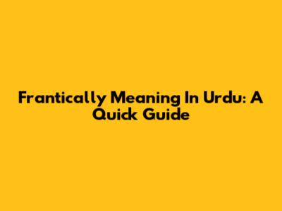 Frantically Meaning In Urdu: A Quick Guide