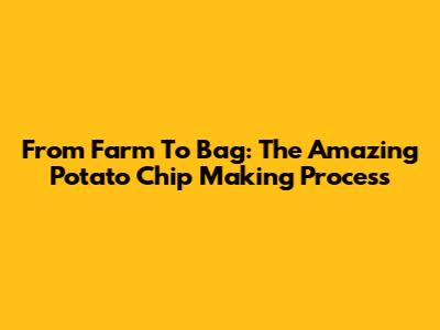 From Farm To Bag: The Amazing Potato Chip Making Process