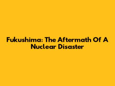 Fukushima: The Aftermath Of A Nuclear Disaster