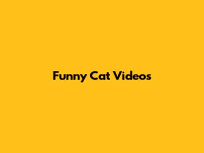 Funny Cat Videos