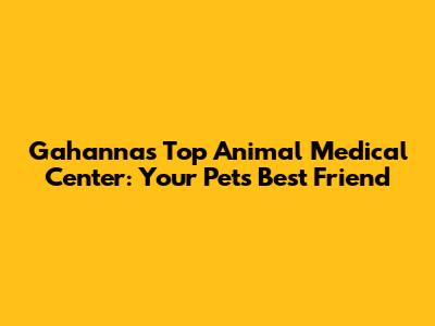Gahanna's Top Animal Medical Center: Your Pet's Best Friend