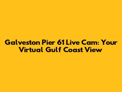 Galveston Pier 61 Live Cam: Your Virtual Gulf Coast View