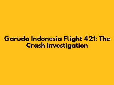 Garuda Indonesia Flight 421: The Crash Investigation