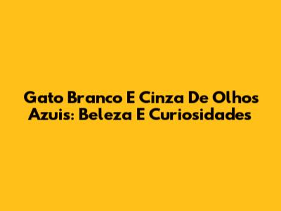 Gato Branco E Cinza De Olhos Azuis: Beleza E Curiosidades