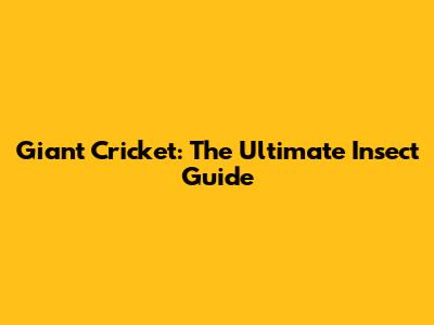Giant Cricket: The Ultimate Insect Guide