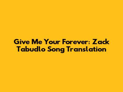 Give Me Your Forever: Zack Tabudlo Song Translation