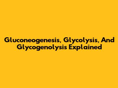 Gluconeogenesis, Glycolysis, And Glycogenolysis Explained