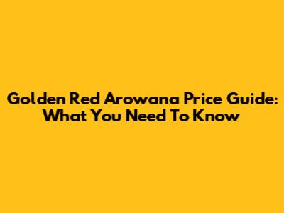 Golden Red Arowana Price Guide: What You Need To Know