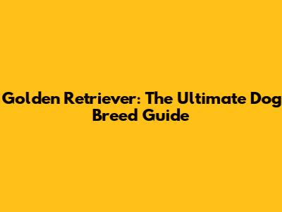 Golden Retriever: The Ultimate Dog Breed Guide
