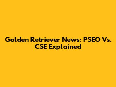 Golden Retriever News: PSEO Vs. CSE Explained