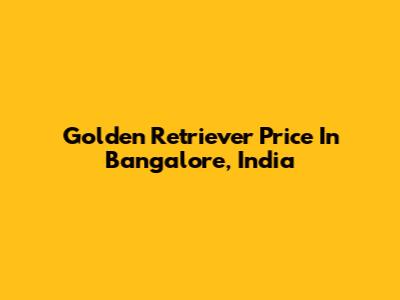 Golden Retriever Price In Bangalore, India