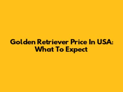 Golden Retriever Price In USA: What To Expect