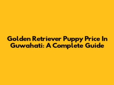Golden Retriever Puppy Price In Guwahati: A Complete Guide