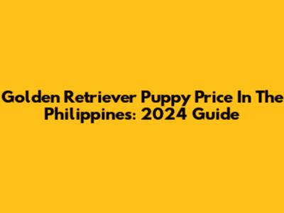 Golden Retriever Puppy Price In The Philippines: 2024 Guide