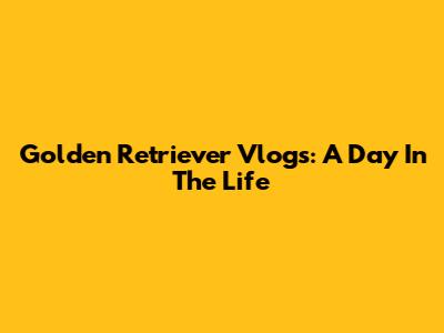 Golden Retriever Vlogs: A Day In The Life
