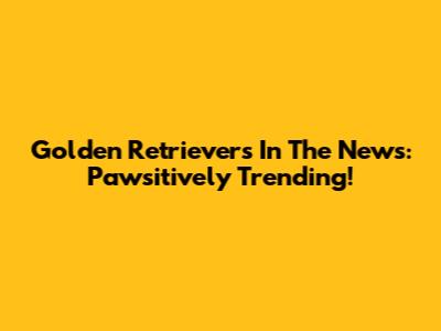 Golden Retrievers In The News: Pawsitively Trending!