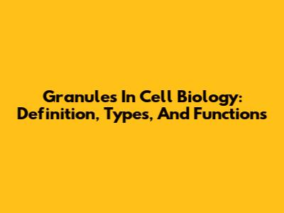 Granules In Cell Biology: Definition, Types, And Functions