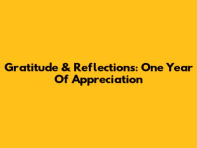 Gratitude & Reflections: One Year Of Appreciation