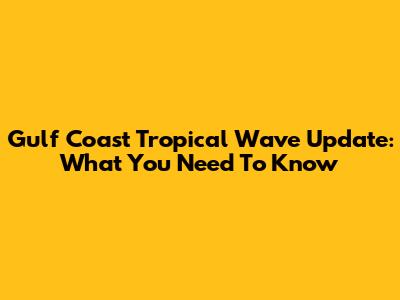 Gulf Coast Tropical Wave Update: What You Need To Know
