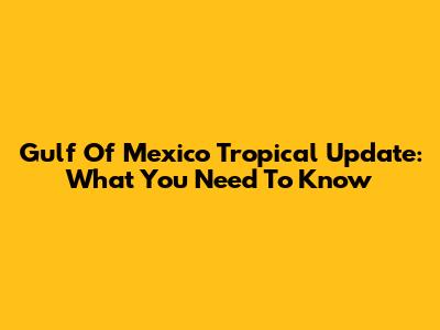 Gulf Of Mexico Tropical Update: What You Need To Know
