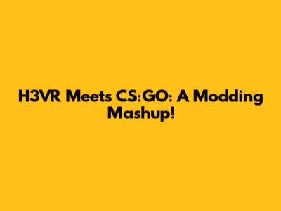H3VR Meets CS:GO: A Modding Mashup!