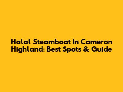 Halal Steamboat In Cameron Highland: Best Spots & Guide