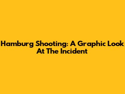 Hamburg Shooting: A Graphic Look At The Incident