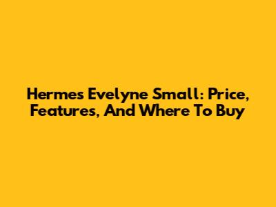 Hermes Evelyne Small: Price, Features, And Where To Buy