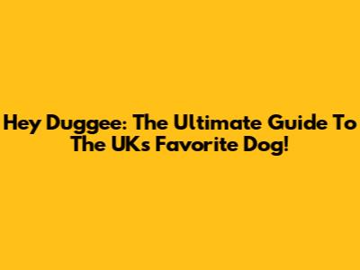 Hey Duggee: The Ultimate Guide To The UK's Favorite Dog!