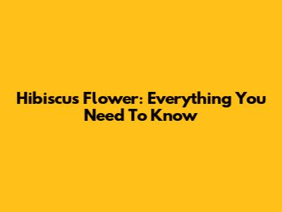 Hibiscus Flower: Everything You Need To Know