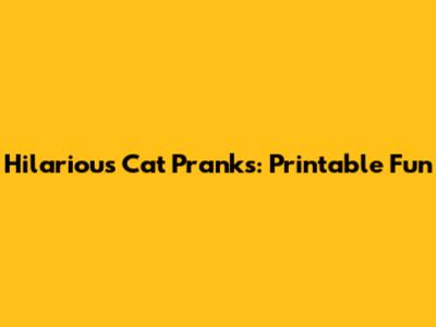 Hilarious Cat Pranks: Printable Fun