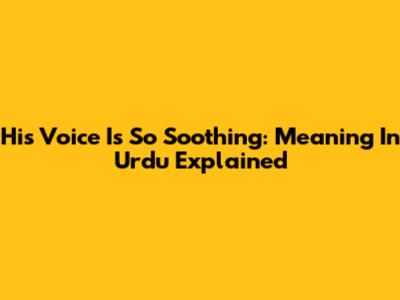 His Voice Is So Soothing: Meaning In Urdu Explained