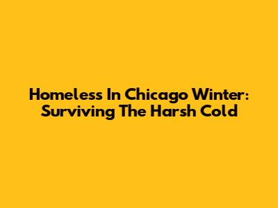 Homeless In Chicago Winter: Surviving The Harsh Cold