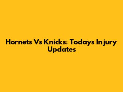 Hornets Vs Knicks: Today's Injury Updates
