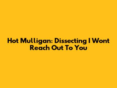 Hot Mulligan: Dissecting 'I Won't Reach Out To You'