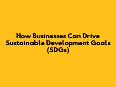 How Businesses Can Drive Sustainable Development Goals (SDGs)