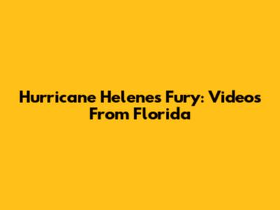 Hurricane Helene's Fury: Videos From Florida