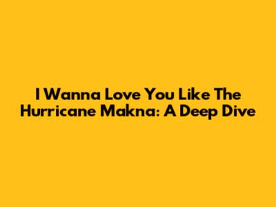 I Wanna Love You Like The Hurricane Makna: A Deep Dive